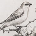 thumbnail image 4 of My Texas House Bird Sketch Round Embossed Textured Framed Antique Canvas Art 11x14, 4 of 7