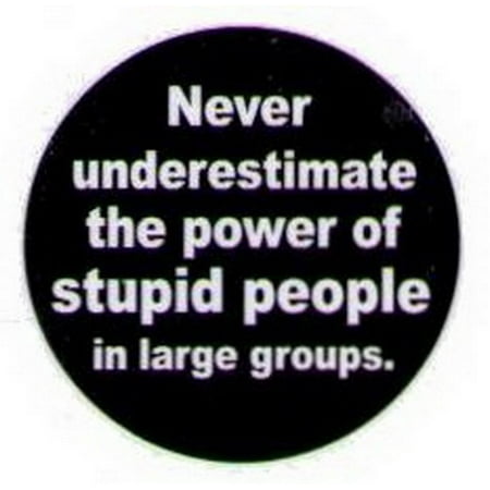 - Never Underestimate Stupid People Button HB288