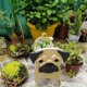 thumbnail image 1 of Maceta para perros - Maceta suculenta de dibujos animados en forma de animal Maceta de madera con dise?o de perro lindo para decoración de jardín Patio LingWen 1327534330557, 1 of 1