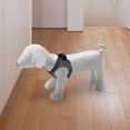 thumbnail image 3 of kurtrusly 1PC Mannequin PU Leather Standing Position for Display Toys White M Dog 1Set, 3 of 6