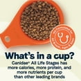 Canidae All Life Stages Premium Dry Dog Food for Less Active Dogs, All