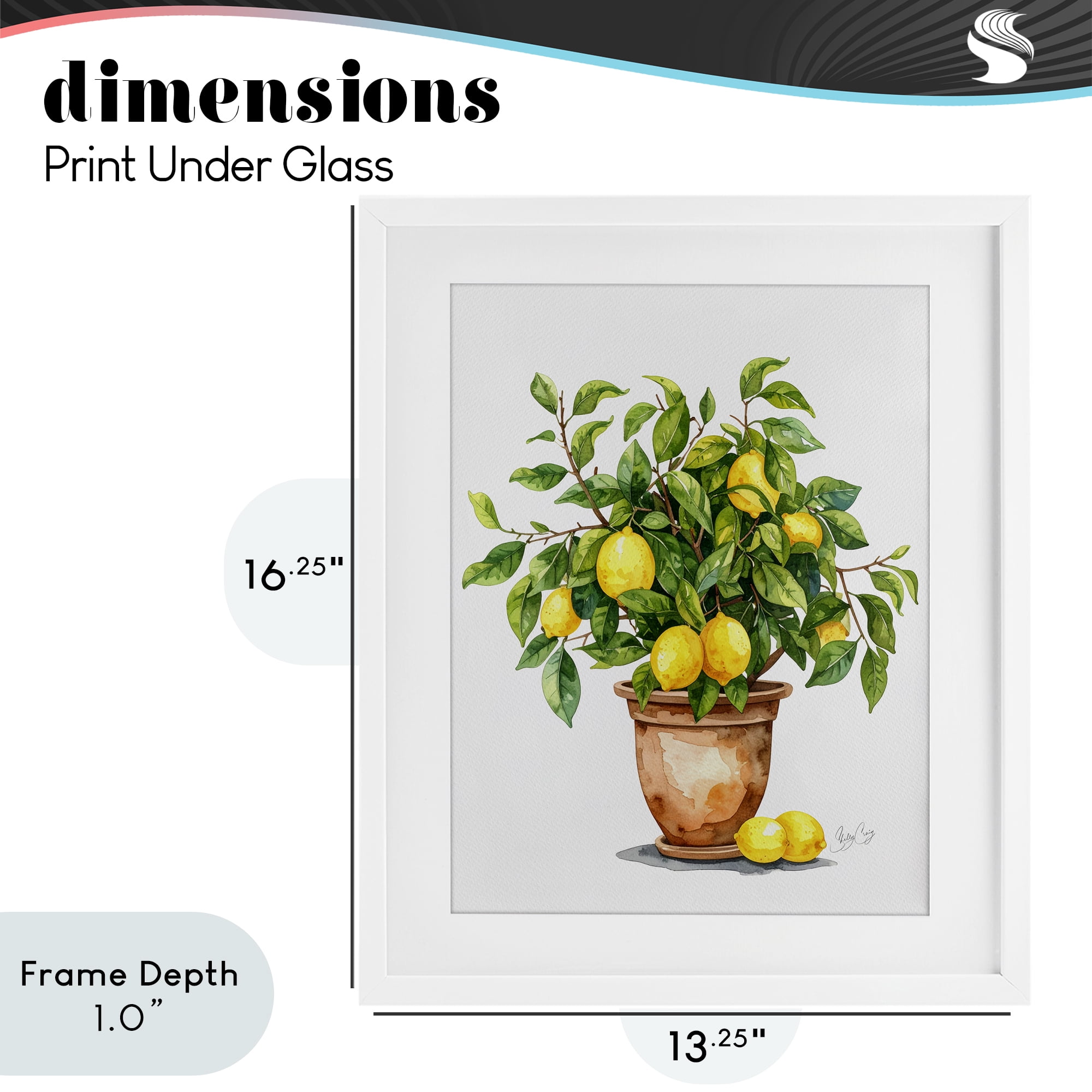 Stupell Industries Potted Lemon Tree White Framed Print Under Glass, design by Shelly Craig
