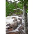 thumbnail image 1 of Great BIG Canvas | Rolled Jenna Szerlag Poster Print entitled Colorado, Rocky Mountains, A Raging River With Lush Foliage, 1 of 4