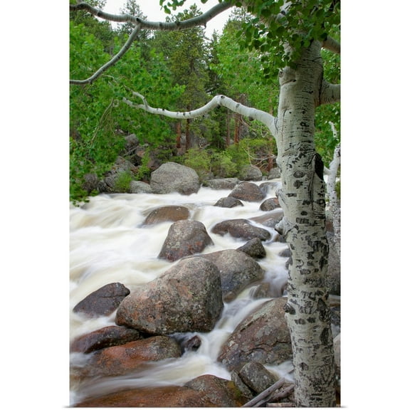 Great BIG Canvas | Rolled Jenna Szerlag Poster Print entitled Colorado, Rocky Mountains, A Raging River With Lush Foliage