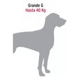 thumbnail image 3 of Cadena De Amarre 1.8m Para Perro Grande Hasta 40 Kg, 3 of 5