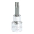thumbnail image 1 of Dado 3/8 Pulgadas Punta Torx T40 Bf51t40 Surtek SURTEK BF51T40, 1 of 2