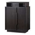thumbnail image 2 of Icel 2-Door Wood Shoe Cabinet for 15 Shoes, Espresso, 2 of 6
