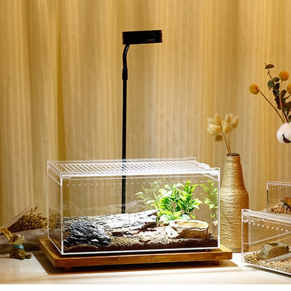 HONMEET Hermit Crab Habitat Tank with Acrylic Reptile Feeding Box, Complete 1 Set for Small Pets