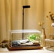 thumbnail image 4 of unbranded De Alimentación Para Reptiles Con Cubierta Antiescape Y Espacio Amplio, 4 of 7