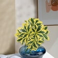 thumbnail image 5 of A Bunch of Artificial Plants Clearance! Realistic Artificial Plants Outdoor Artificial Plants Porch Decor, 5 of 6