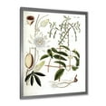 thumbnail image 2 of Designart 'Ancient Plant Life IV' Farmhouse Framed Art Print, 2 of 4