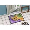 thumbnail image 4 of Carolines Treasures SS8898MAT Norwich Terrier Tapis Intérieur Extérieur - 18 x 27 Po., 4 of 4