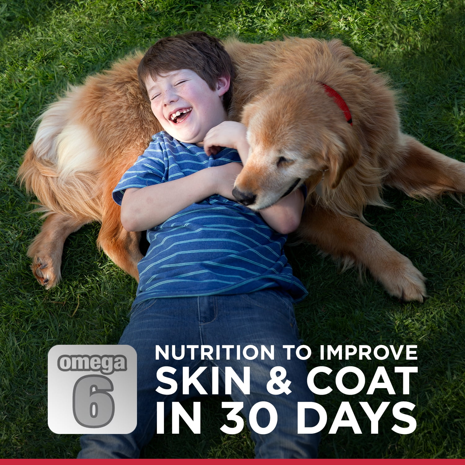 hill's science diet advanced fitness small bites