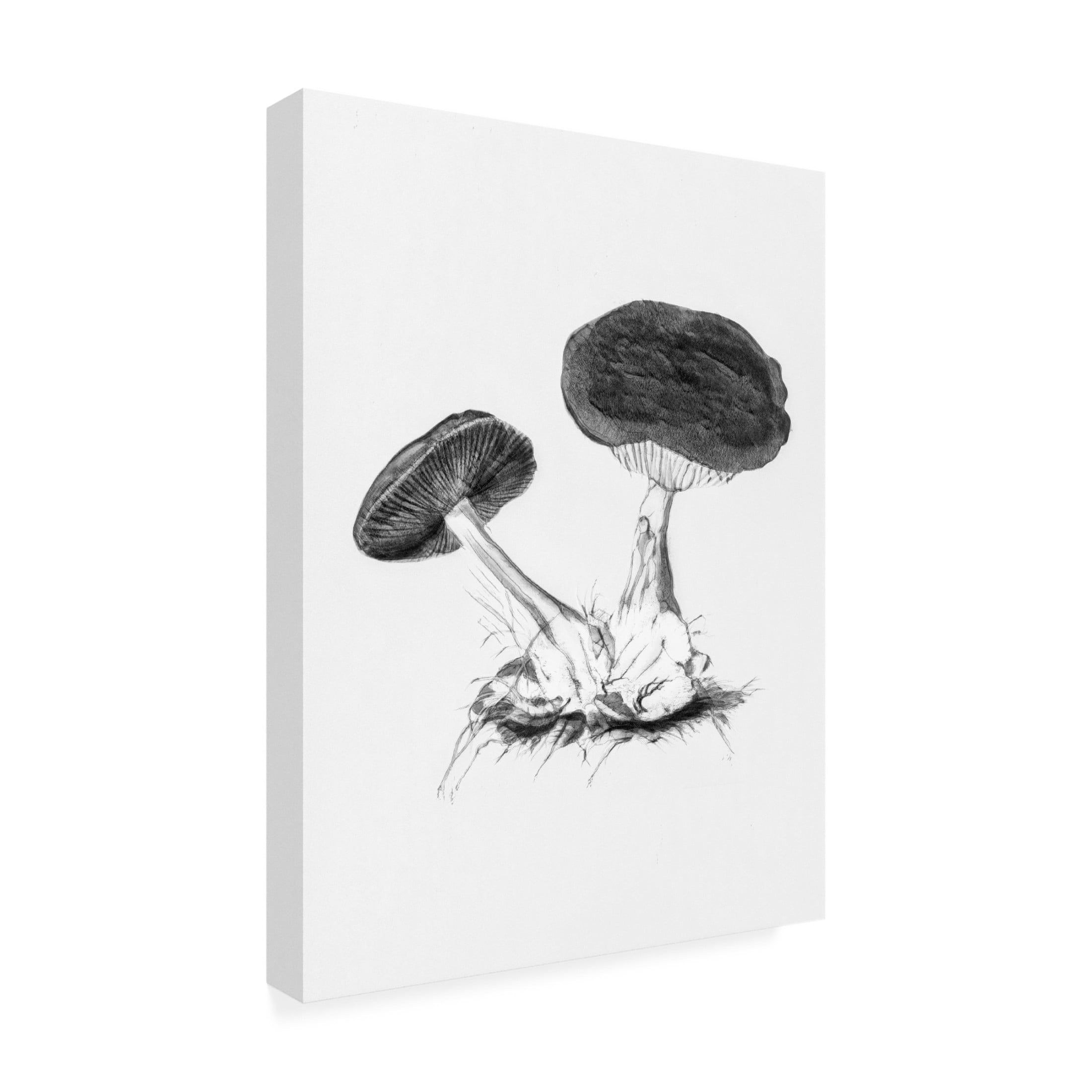 Trademark Fine Art Pictufy   Vintage Violet Webcap Mushroom Bright BW Canvas Wall Art