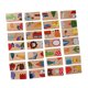 thumbnail image 5 of JUEGO DE 28 PIZAS DE COLORIDOS BLOQUES DE CONSTRUCCIÓN DE CON TEMÁTICA ANIMAL, JUEGO DE ROMPECABEZAS EDUCATIVO PARA NIños Pequeños Y Niños, 5 of 7