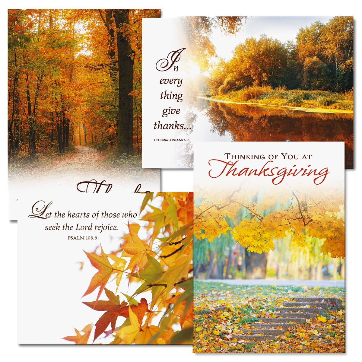 Faith Thanksgiving Cards- Set of 8 with 4 Designs and Envelopes, 5 x 7  Inches, by Current - Walmart.com