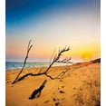thumbnail image 3 of Driftwood Duvet Cover Set, Washed up Driftwood on the Sandy Shoreline at Sunrise Digital Image, Decorative 3 Piece Bedding Set with 2 Pillow Shams, Queen Size, Blue and Sand Brown, by Ambesonne, 3 of 3
