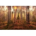 thumbnail image 2 of Brown, Denise 32x23 White Modern Wood Framed Museum Art Print Titled - Sanctuary, 2 of 4