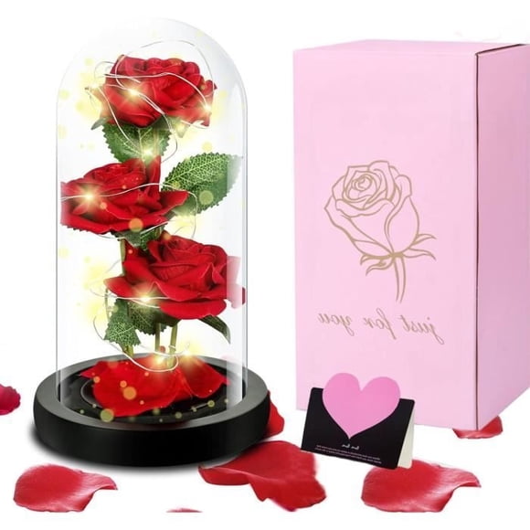 Eternal Rose sous Verre - LECOO - 3 Roses Rouges - Lumière LED - Boîte Cadeau - Décoration Maison