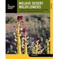 thumbnail image 1 of Mojave Desert Wildflowers, 1 of 1
