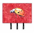 thumbnail image 1 of Carolines Treasures 8868TH68 6 x 9 In. Lady Bug on Red Leash or Key Holder, 1 of 1