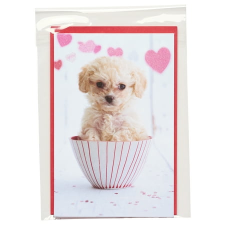 American Greetings Valentine's Day Card (Puppy)