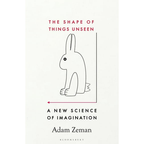 The Shape of Things Unseen: A New Science of Imagination, (Hardcover)