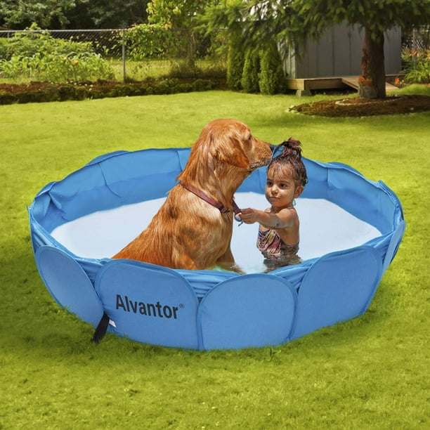 dog pool with pump