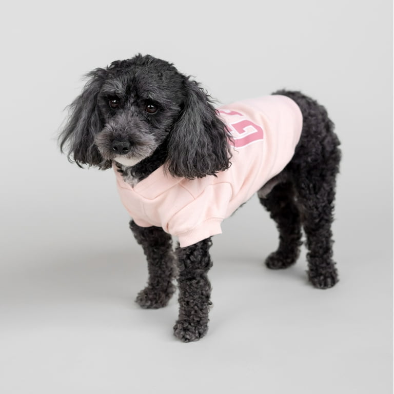 Amazon.com : CafePress Punk Rock Jacket Dog T Shirt Dog T