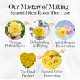 thumbnail image 3 of GLAMOUR BOUTIQUE 16-Piece Forever Flowers Heart Shape Box - Preserved Roses, Immortal Roses That Last A Year - Eternal Rose Preserved Flowers for Delivery Prime Mothers Day & Valentines Day - Yellow, 3 of 8