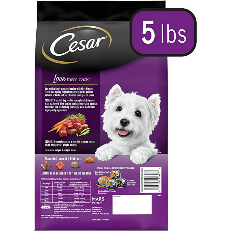 CESAR Gourmet Small Breed Dry Dog Food Filet Mignon Flavor with Spring Vegetables Garnish Kibble