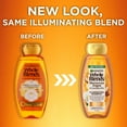 thumbnail image 3 of Garnier Whole Blends Shampoo with Moroccan Argan & Camellia Oils Extracts 12.5 FL OZ, 3 of 9