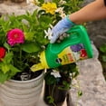 thumbnail image 3 of Miracle-Gro Shake N Feed All Purpose Plant Food 12-4-8 2.04 Kg, 3 of 5