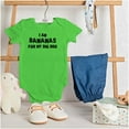 thumbnail image 3 of Bananas for my Big Bro Cute Brother Romper Boys or Girls Infant Baby Brisco Brands 6M, 3 of 6