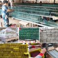 thumbnail image 2 of Portable Fishing Net Fish Shrimp Mesh Cage Cast Fish Trap Foldable Network, 2 of 8