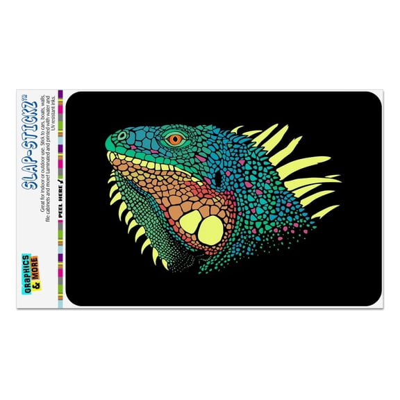 Iguana Head Colorful Home Business Office Sign