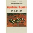 thumbnail image 1 of Pre-Owned Amphibians and Reptiles in Kansas (Public Education Series), 9780893380434, 0893380431, Paperback, Revised edition, 1 of 1