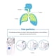 thumbnail image 5 of Mini Portátil Ultrasónico Nebulizador Inhalador Asma Máquina De Mano Usb Batería Reemplazable Nebulizador Ultrasónico Cateissary AF001029-00, 5 of 6