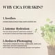 thumbnail image 3 of Mezcla Essence Soondy Centella Asiatica 30 ml para piel sensible, 3 of 5