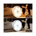 thumbnail image 2 of Luz Led Inalámbrica  Bloosom Lámpara Pared Sensor De Movimiento 3 Pzs Color Warm, 2 of 5