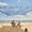 Sapphire Twilight Leaf, variant on WEKAPO Beach Tent Sun Shelter - Easy Setup Beach Canopy with 4 Sturdy Poles, Large Sandbags and Shovel, 7'1'' Tall, Windproof Beach Sun Shade for Backyard and Camping, UPF 50+ Protection