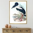 thumbnail image 2 of Designart 'Australian Vintage Birds I' Traditional Framed Canvas Wall Art Print, 2 of 5