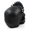 thumbnail image 1 of Resin Skull Statue Desktop Props Craft Prop Artware Interesting Crafts Adornments Skeleton Model Ornaments Scene Layout DIY Sculpture Decor, 1 of 7