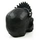 thumbnail image 1 of Bewildely Estatua de calavera de resina, accesorio artesanal, modelo de esqueleto, adornos, decoración de escultura Artesanía Bewildely HA061567-00, 1 of 6