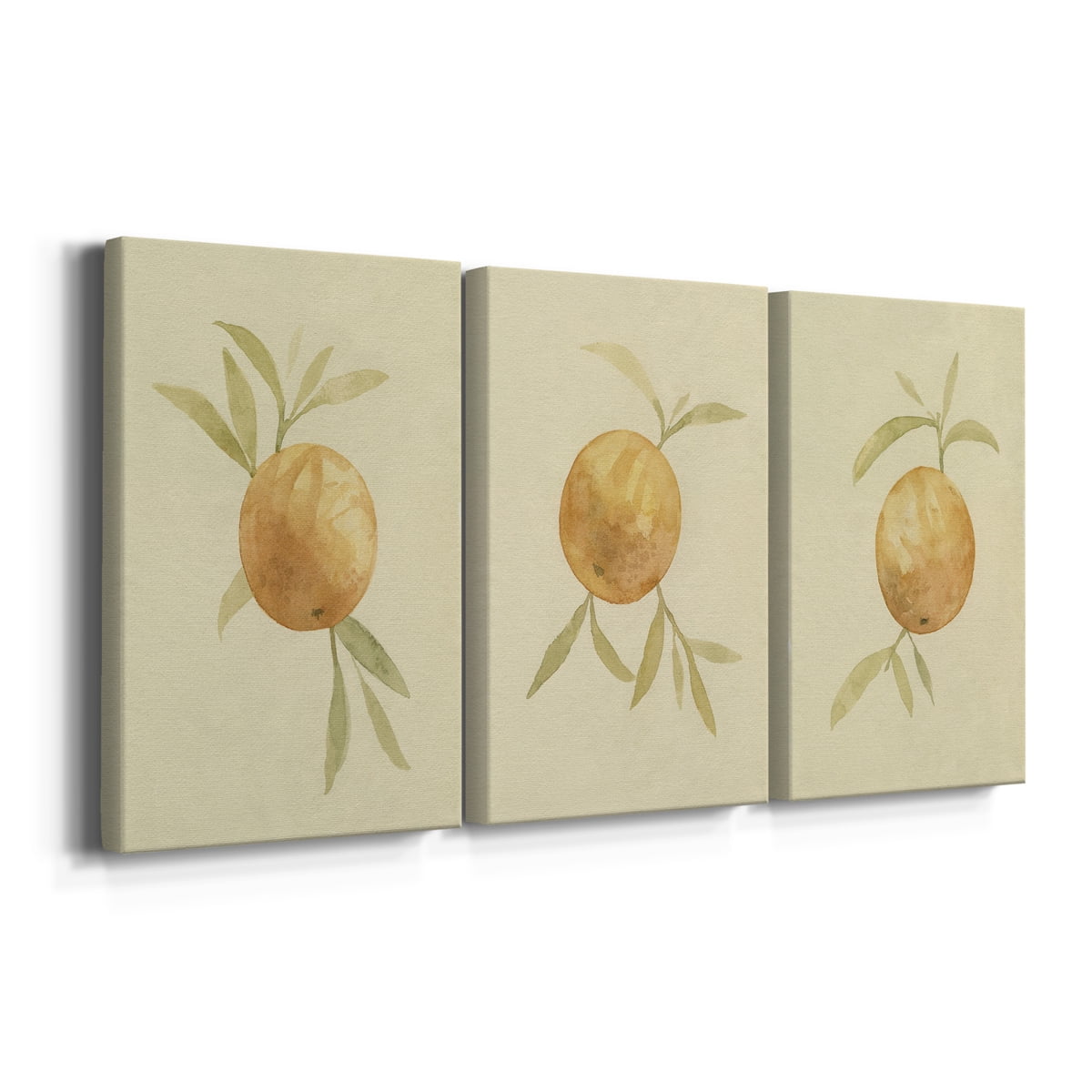 Dappled Oranges I Premium Gallery Wrapped Canvas - Ready to Hang - 12 x 18 Each