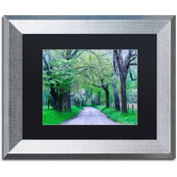 Trademark Fine Art "Cades Cove Lane" Canvas Art by Michael Blanchette Photography Black Matte, Silver Frame