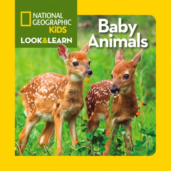 Baby Animals (Board Book)