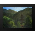 thumbnail image 2 of Bierstadt, Albert 18x14 Black Modern Framed Museum Art Print Titled - Wooded Landscape, 2 of 5
