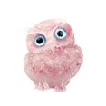 thumbnail image 1 of Injueey Crystal Owl Decoration Owl Statue for  Housewarming Decor Office Gift Decoración del hogar Rosa, 1 of 1