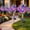 1pc, variant on Magical Holographic Rainbow Solar Pinwheel Lights to Bring Fairy Tales to Your Yard, Solar Rainbow Pinwheel Garden Light, Pinwheels for Yard and Garden Light,for Pathway, Lawn & Patio (3pc)